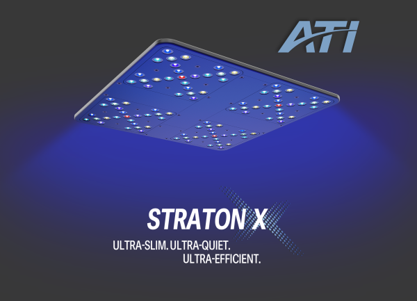 ATI Straton X - Aktion GRATIS Hanging-Kit oder Mounting Arm