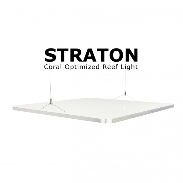 ATI Straton LED *Vorbestellung*