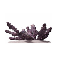 CaribSea Life Rock Belize Branch Rock Riffäste  9,07 Kg CaribSea Life Rock Belize Branch Rock Riffäste  9,07 Kg