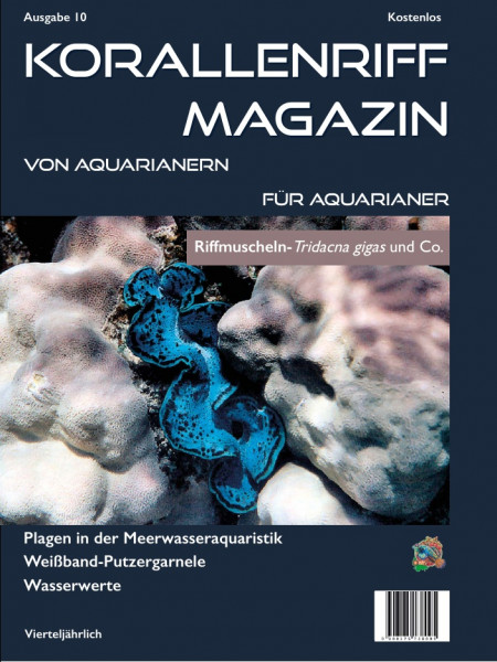 Korallenriff Magazin Nr.10