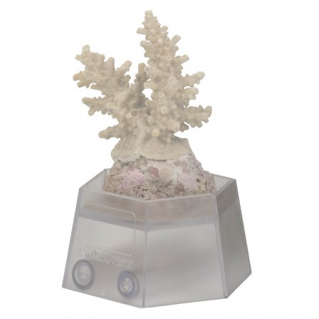 Aqua Medic - Coral Holder Korallenhalter